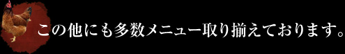 この他にも多数メニュー取り揃えております。