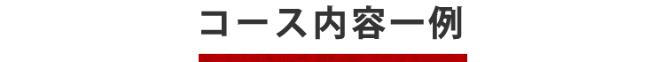 コース内容一例