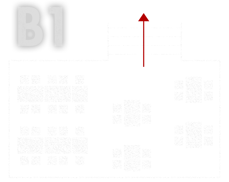 B1