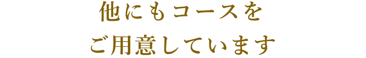 他にもコースをご用意しています